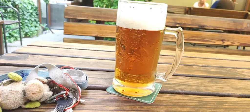 Menu_Restaurace Černej pták_Jindřichův Hradec_image_5