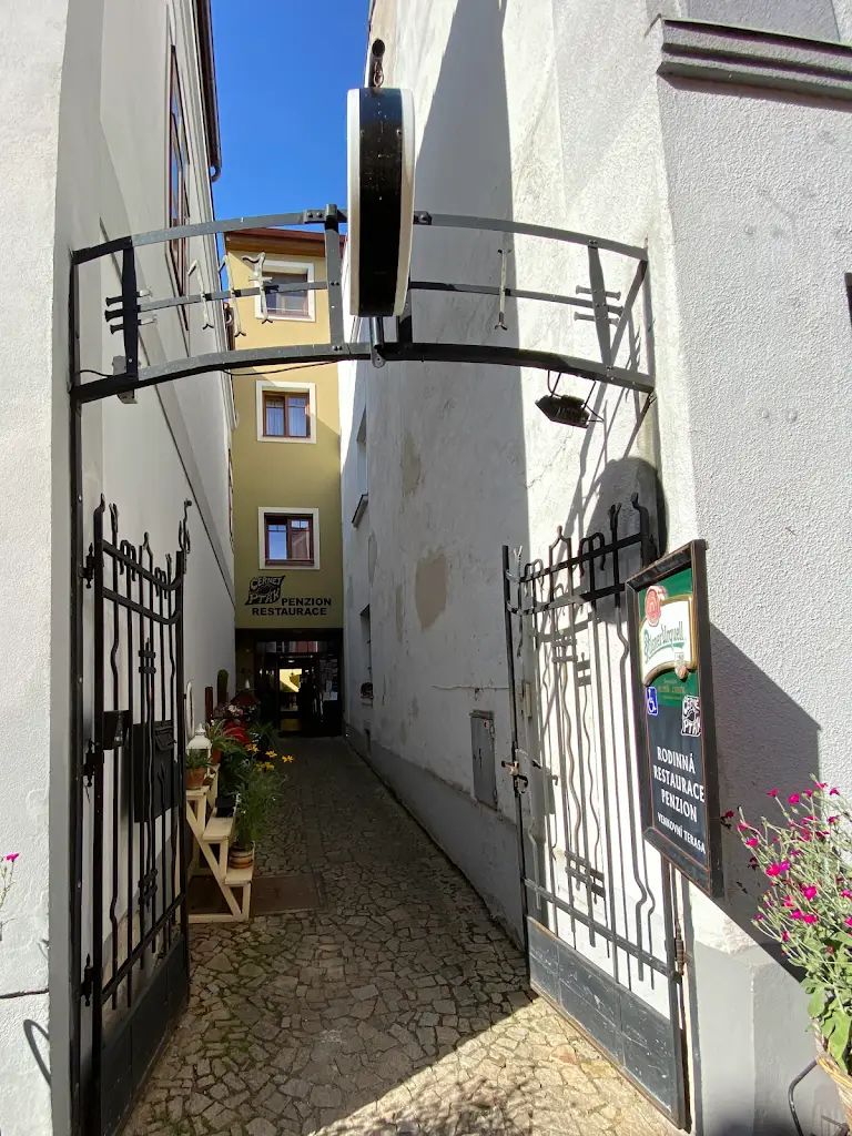 Daria Daria_Restaurace Černej pták_Jindřichův Hradec_review