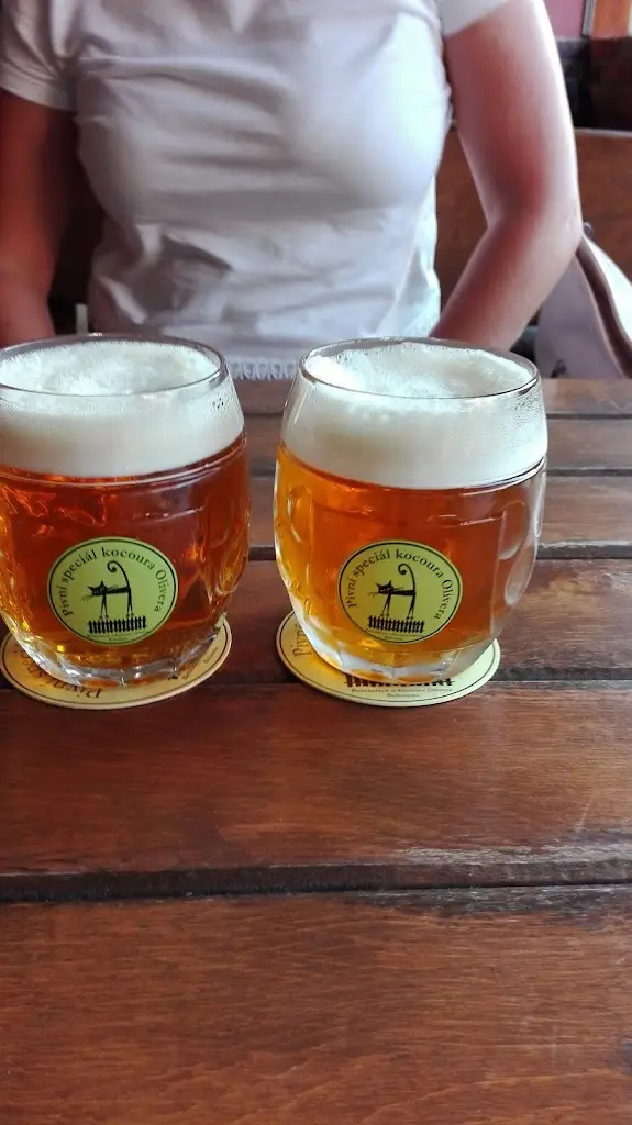 Menu_Restaurace U Kocoura Olivera_Bohumín_image_5