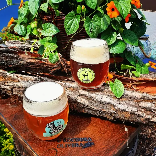 Restaurace U Kocoura Olivera_Bohumín_slider_image_3