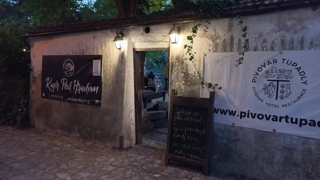 Sos Istvan_Kapr Pod Hradem_Jindřichův Hradec_review