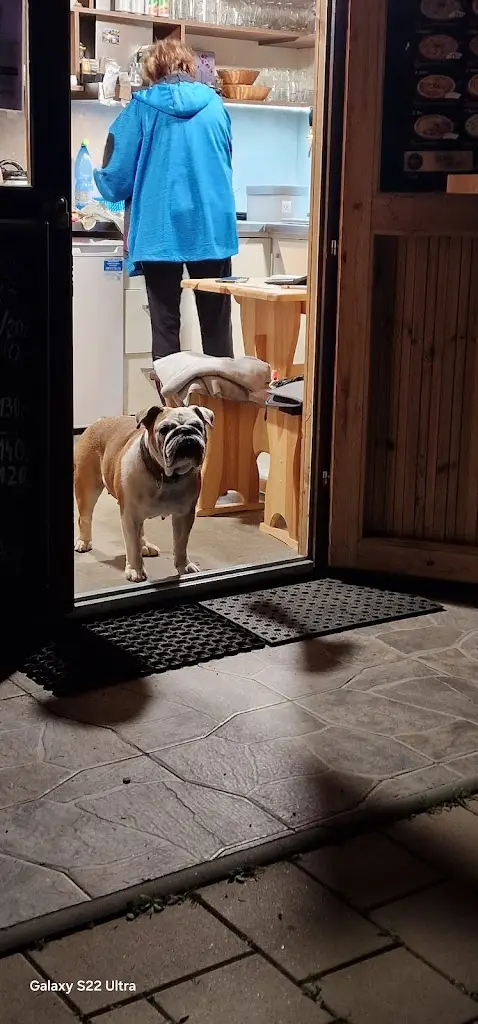 Tereza Hamplova_Hospůdka u Šárky_Budišov nad Budišovkou_recensione