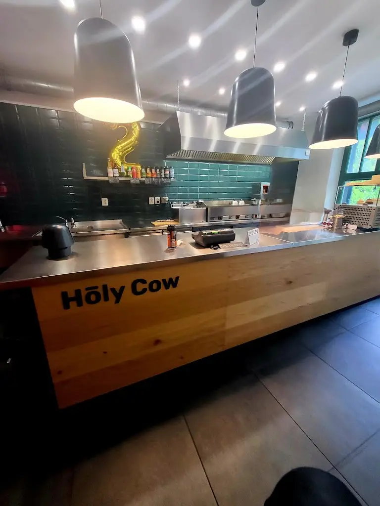 Michal Nawrat_Holy Cow - Hot Dogs & Burgers_Český Těšín_review