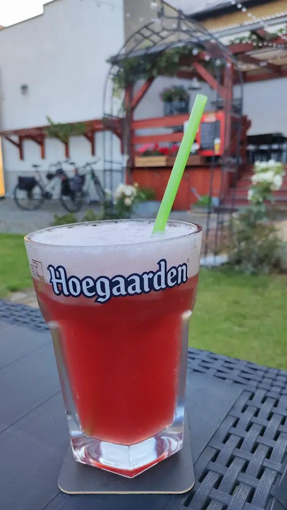 Marcela Babuláková_HOSTINEC NA ZASTÁVCE_Darkovice_recensione