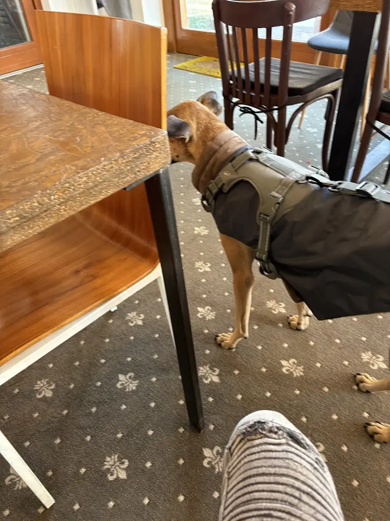 Stefan Camilleri_ZE.MĚ kavárna a bistro_Čeladná_review