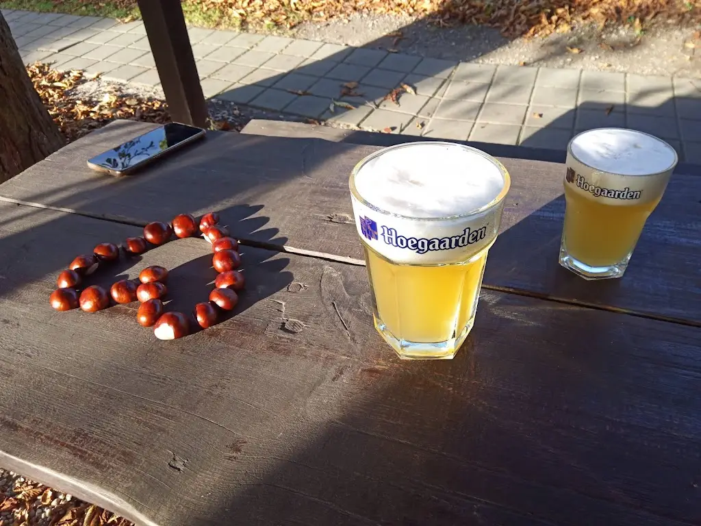 Menu_Pod Kaštany_Dolní Lhota_image_5