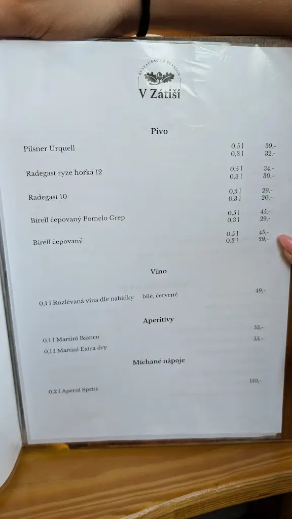 Menu_Restaurace a Penzion V Zátiší_Dolní Lhota_image_4
