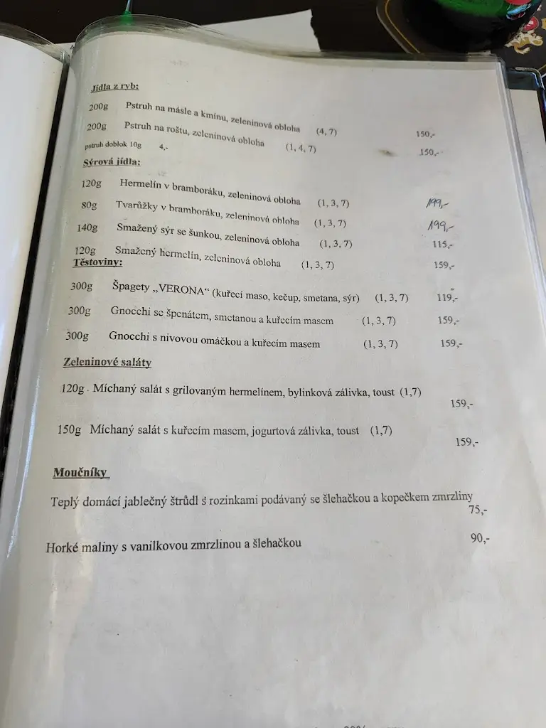 Menu_Motorest U Kišky_Dolní Životice_image_3