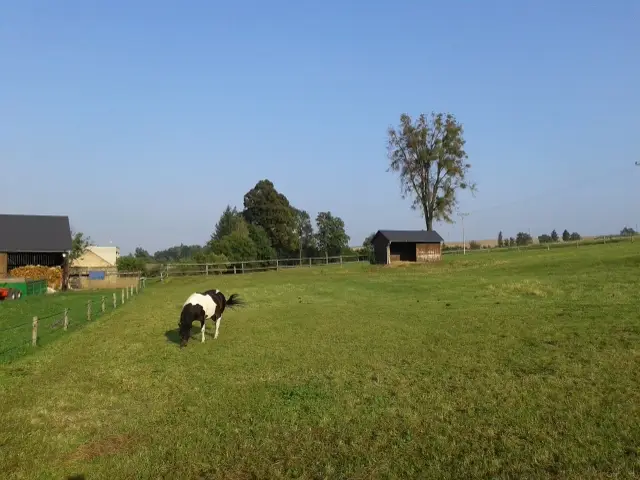 Katerina Popovska_Penzion nad stájí_Dolní Životice_review