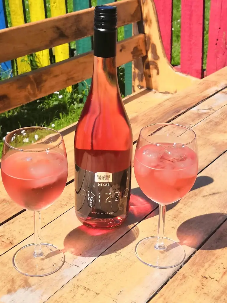 Michael Mrštík_Koliba na statku_Dolní Životice_recensione