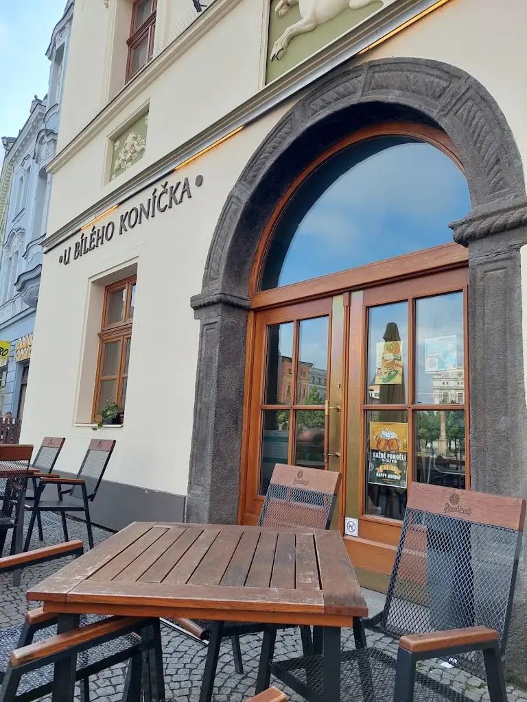 U BÍLÉHO KONÍČKA_Dolní Životice_slider_image_1