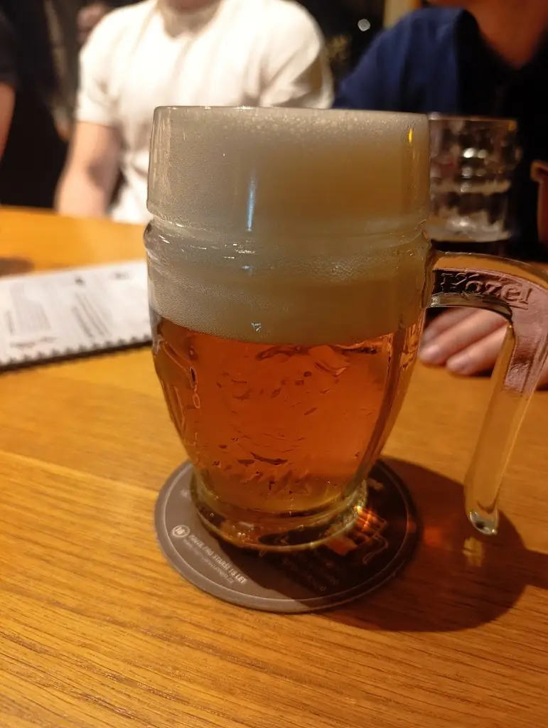 Lukáš Tomek_Kozlovna Na Špici_Frýdek-Místek_review