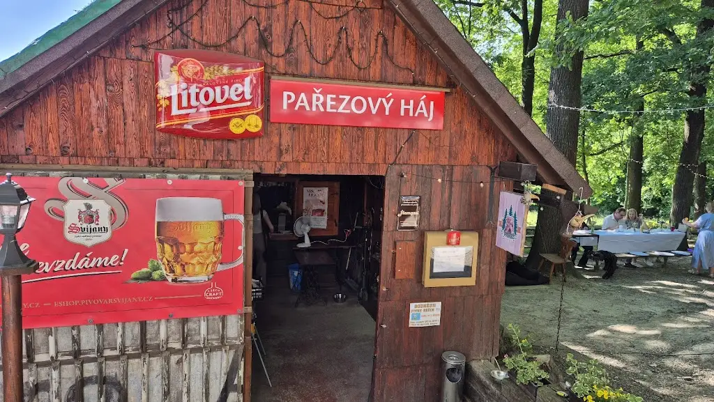 Oldrich Kucza_Pařezový háj_Frýdek-Místek_review