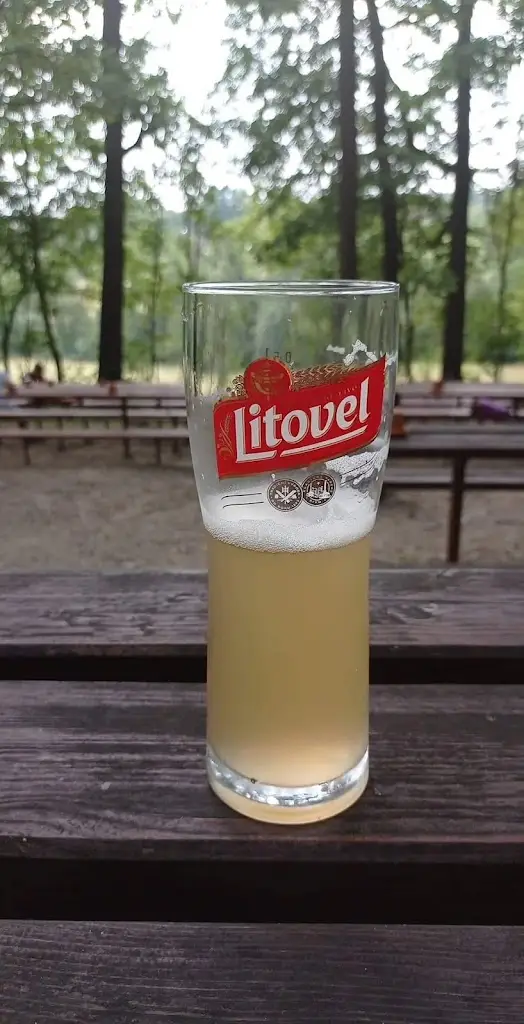 Martina Macáková_Pařezový háj_Frýdek-Místek_review