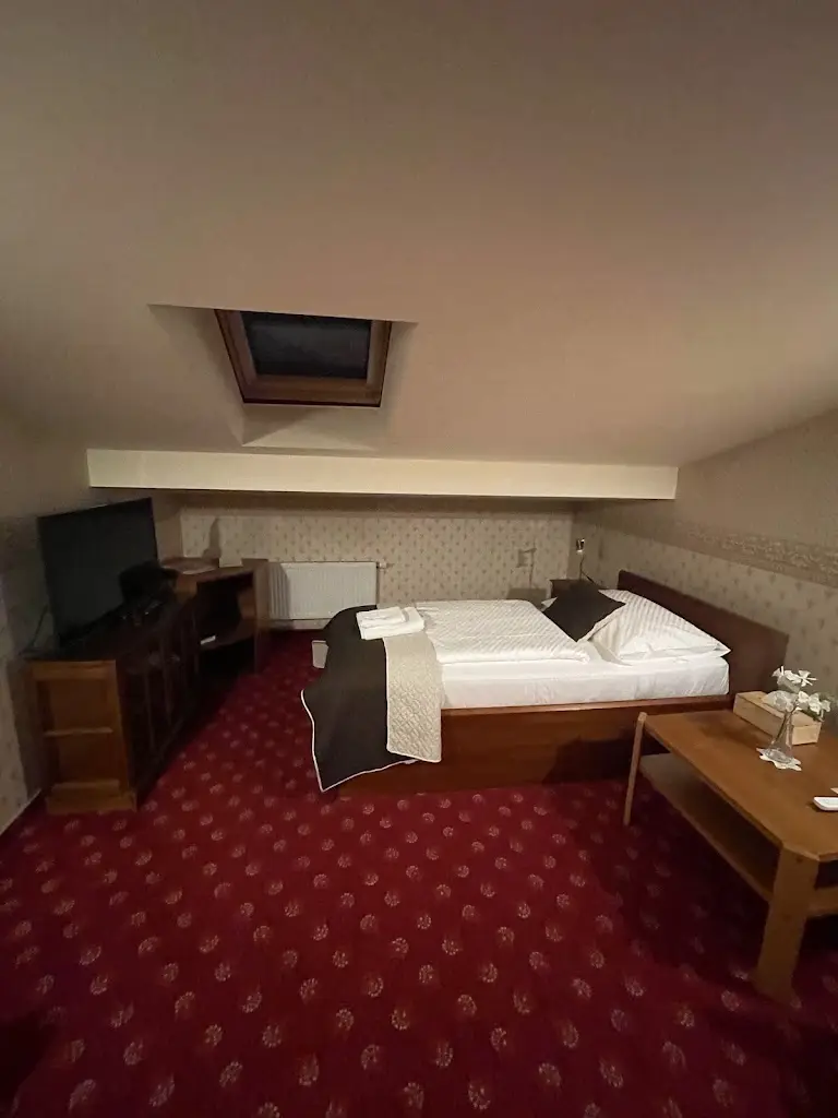 Robert Hájek_Restaurant Hotel & Caffe Silesia_Frýdek-Místek_review