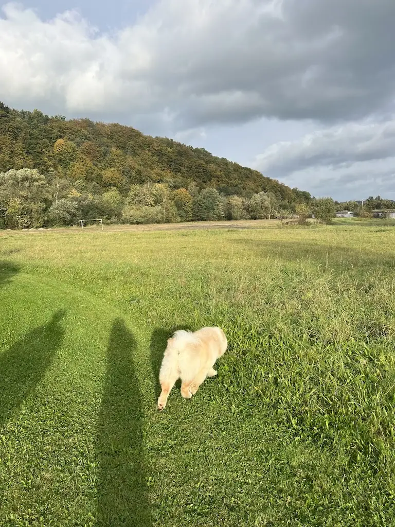 Marta B_Hotel Bartoš_Frenštát pod Radhoštěm_review