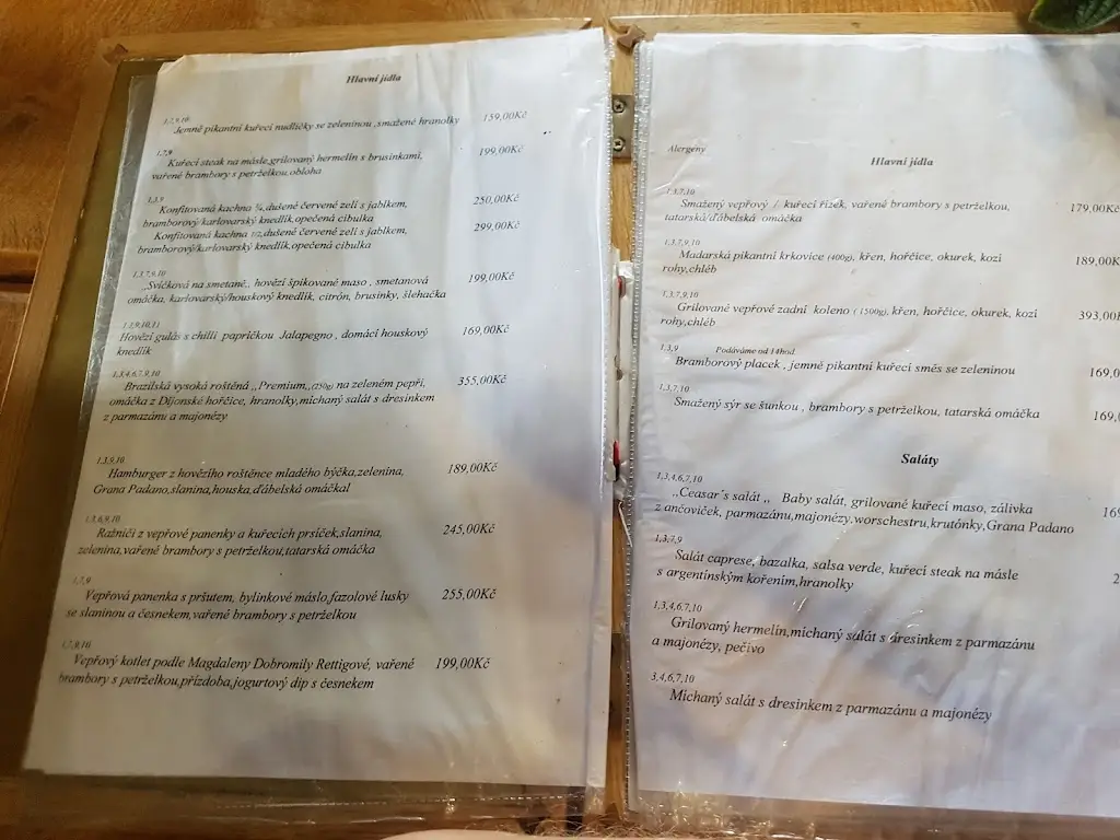 Menu_Restaurace Svatý Jiří_Hlučín_image_2