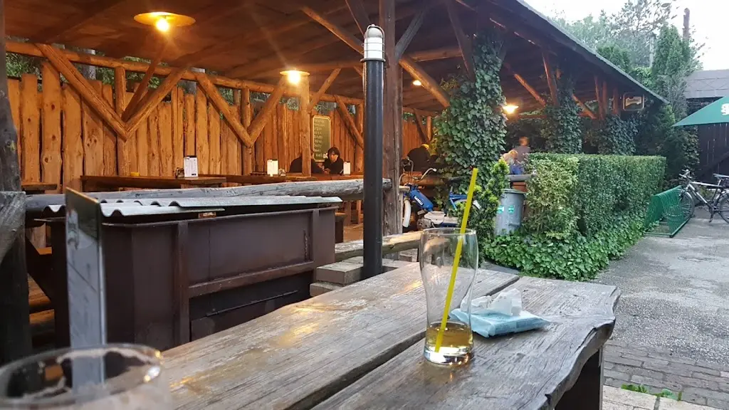 Hospoda 56 restaurant in Hlučín