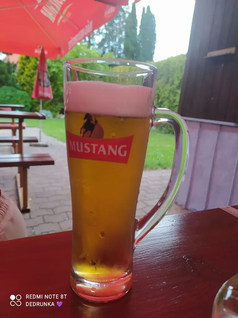 Barun “DEDRUNKA” Novobil_Hospůdka ve Dvoře_Hněvošice_review