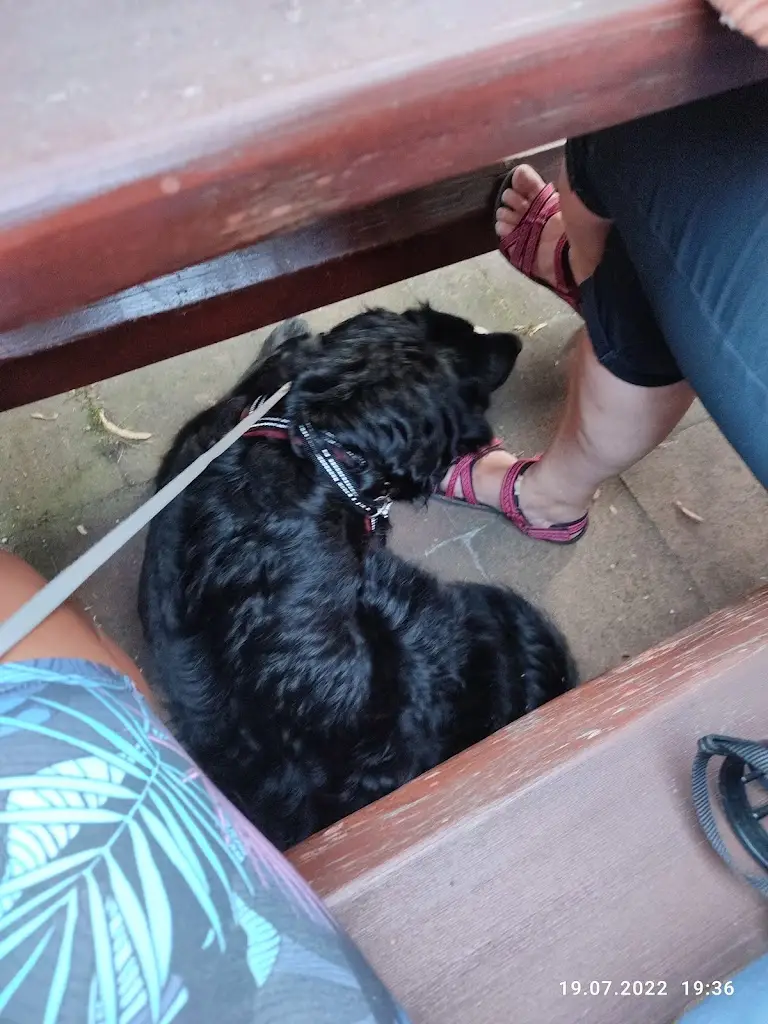 Lucie Janečková_Restaurace Divadélka_Havířov_review