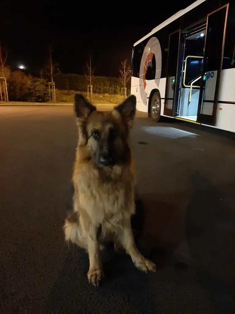 Konečná U Vlasty ristorante a Horní Benešov