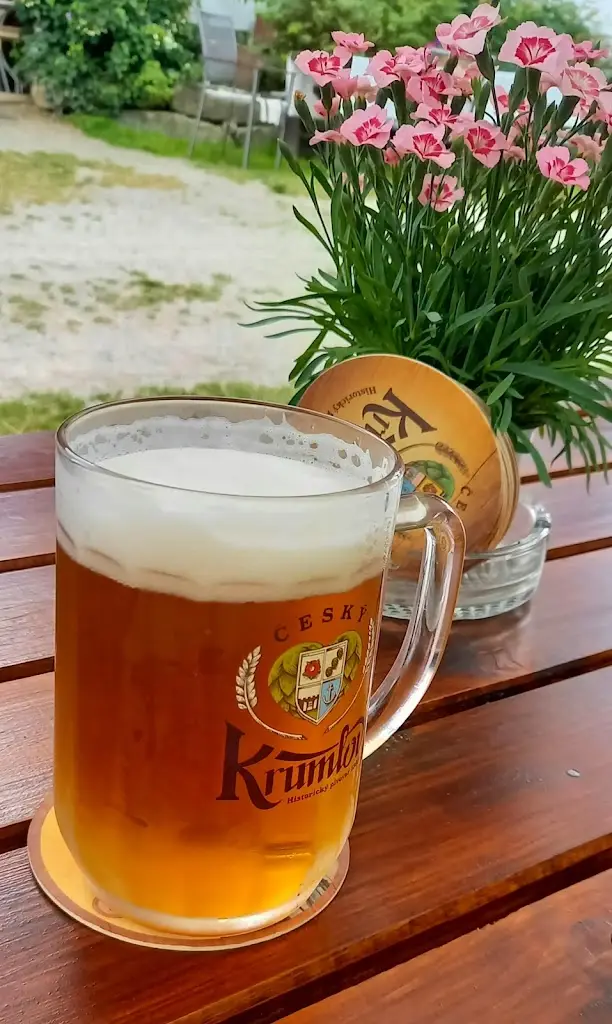 Menu_U Borůvky_Kamenný Újezd_image_4