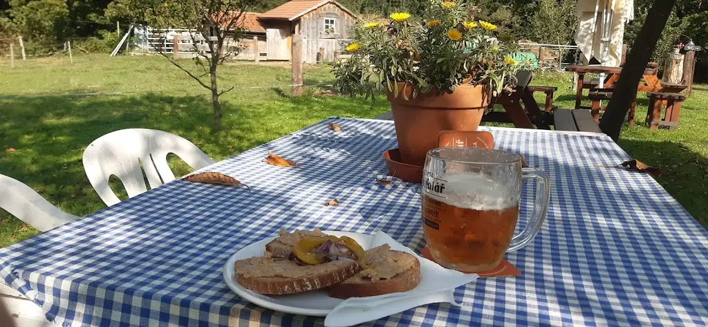 Miloš Pitra_U Borůvky_Kamenný Újezd_review