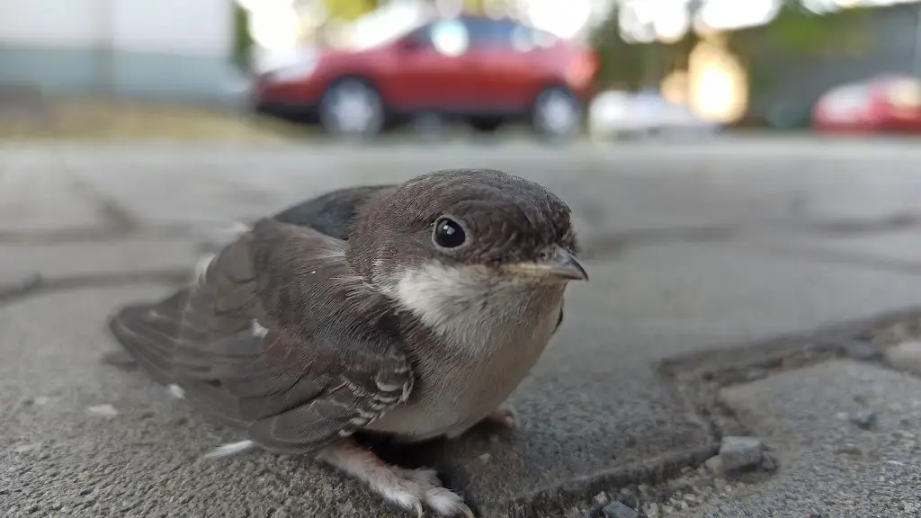 Jakub Milov_Hostinec v Zátoce_Horní Těrlicko_review