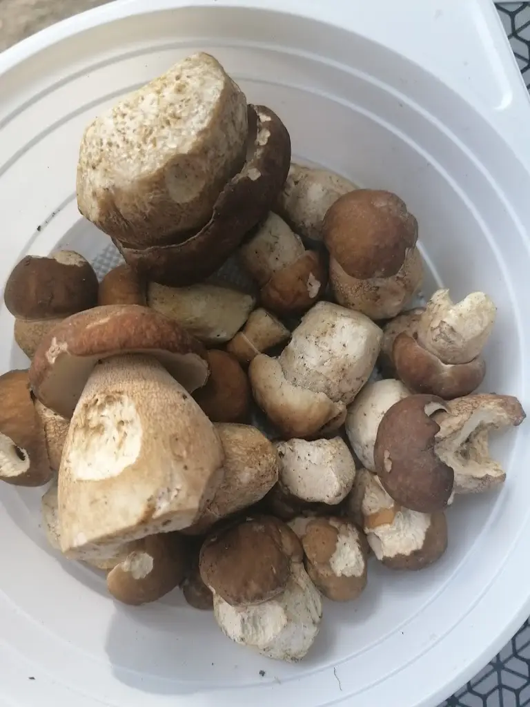 Menu_Pláž Oskar - Slávie_Horní Těrlicko_image_1