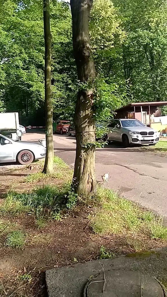 bufet u Zajíce_Horní Těrlicko_slider_image_2