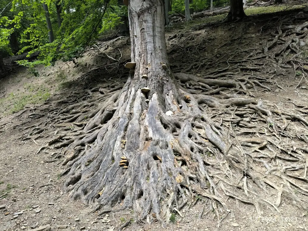 Karel Sluka_Dvůr HUKVALDY_Hukvaldy_recensione