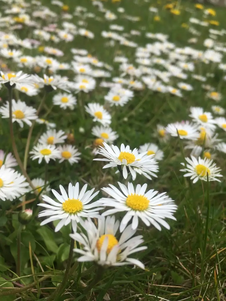 Petr Kratochvíl_Kardašova Řečice_slider_image_3