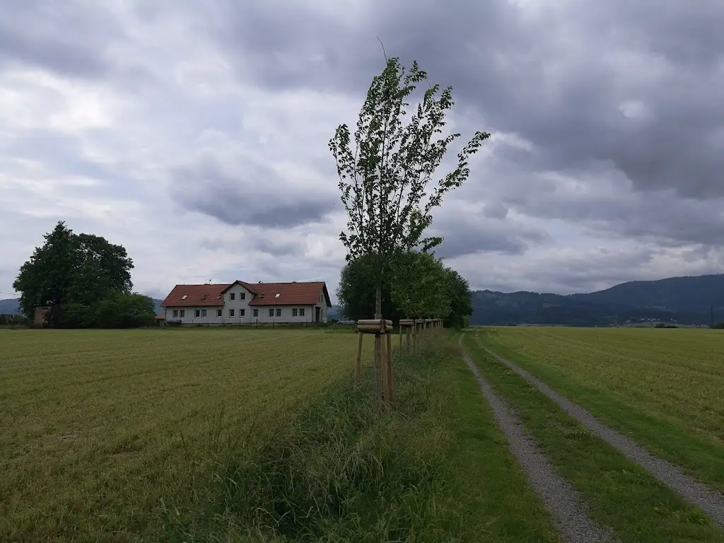 Romana Hubková_Rideczech Guesthouse_Jablunkov_recensione