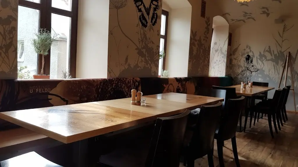 Nelson Mochilero_Hotel a Hostinec U Feldů_Klimkovice_review