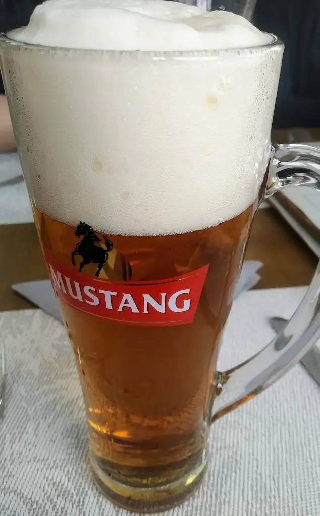 Menu_Restaurace a penzion U Hasičů_Klimkovice_immagine_5