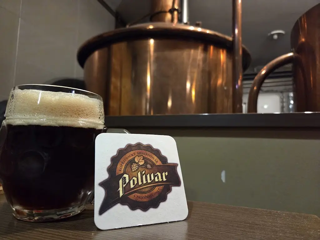 György Sánta_Polivar_Kopřivnice_recensione