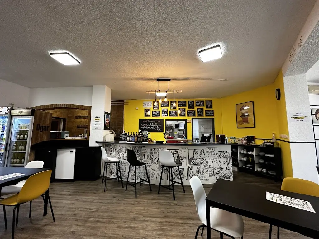 Saily Burger restaurant in Kopřivnice