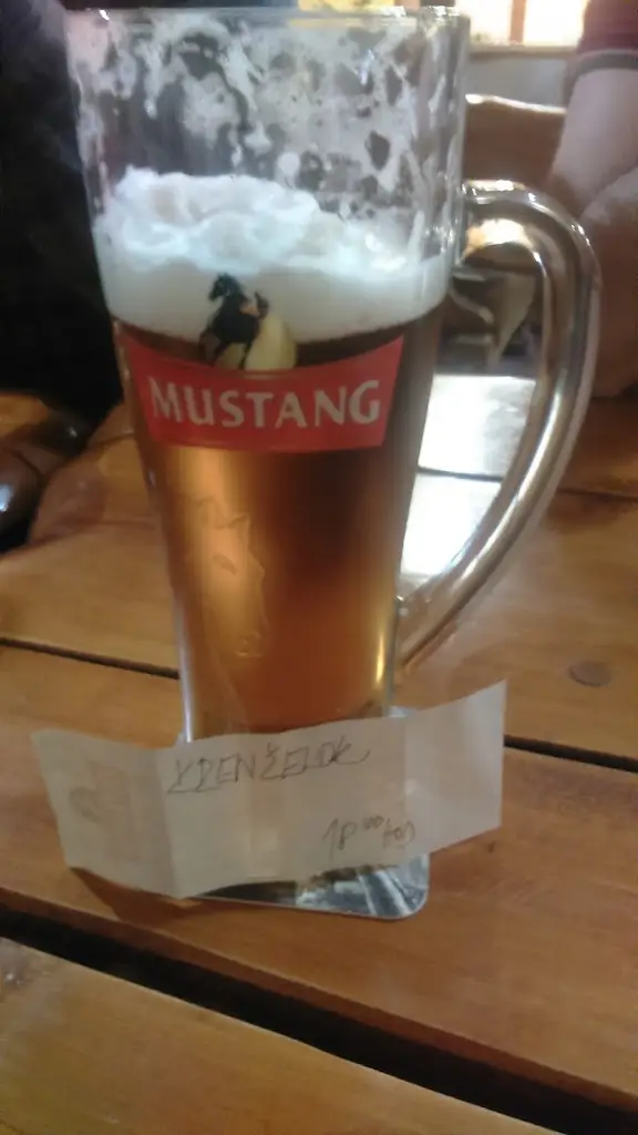 Menu_SELSKÝ DVŮR restaurant bowling_Ludgeřovice_immagine_4