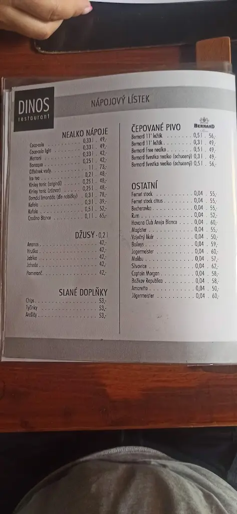 Menu_Dinos Restaurant_Karviná_image_2