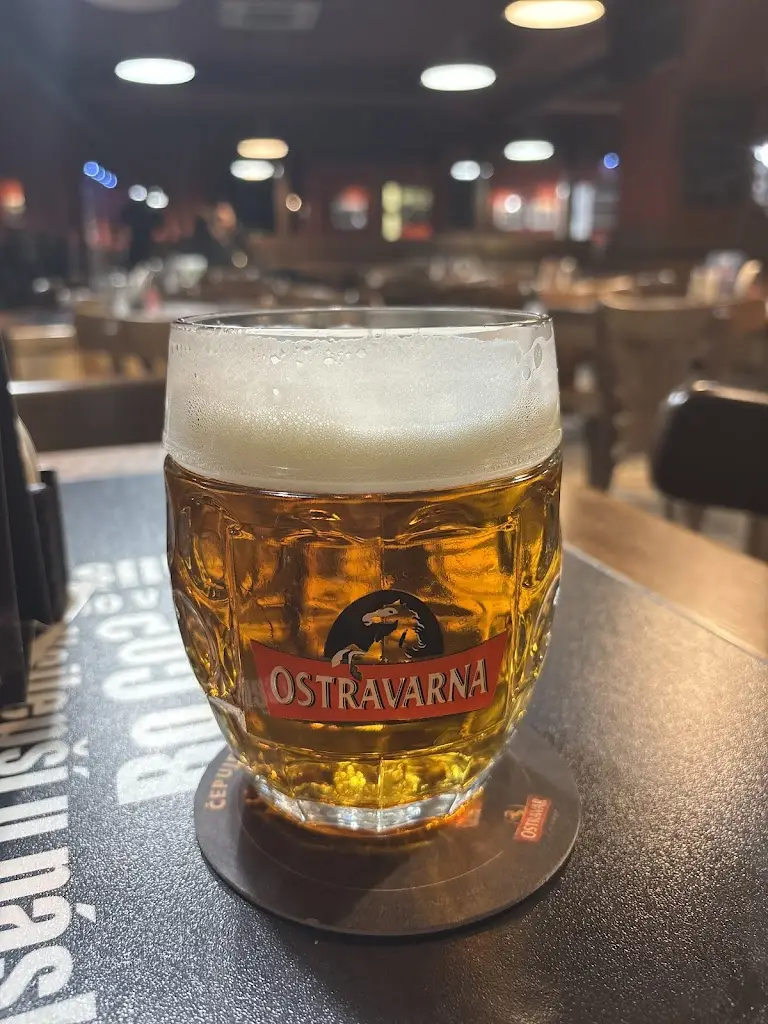 Lukáš Pražák_Ostravarna Karviná_Karviná_recensione