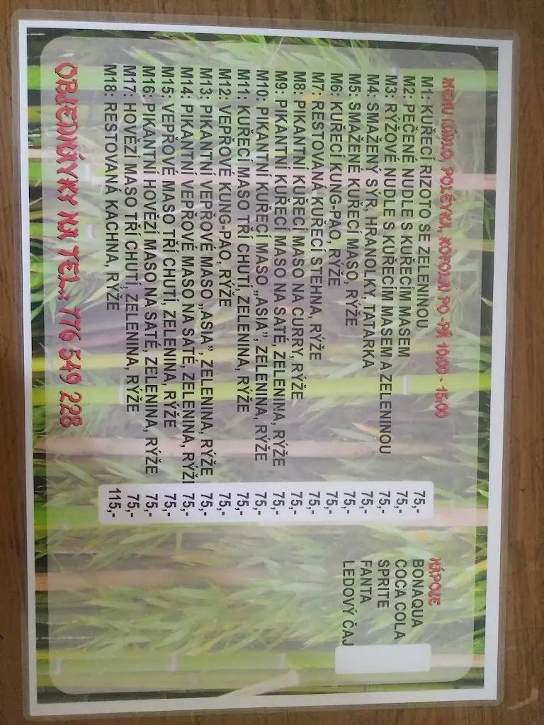 Bách Bảo_Asia Bistro Bambus_Karviná_review