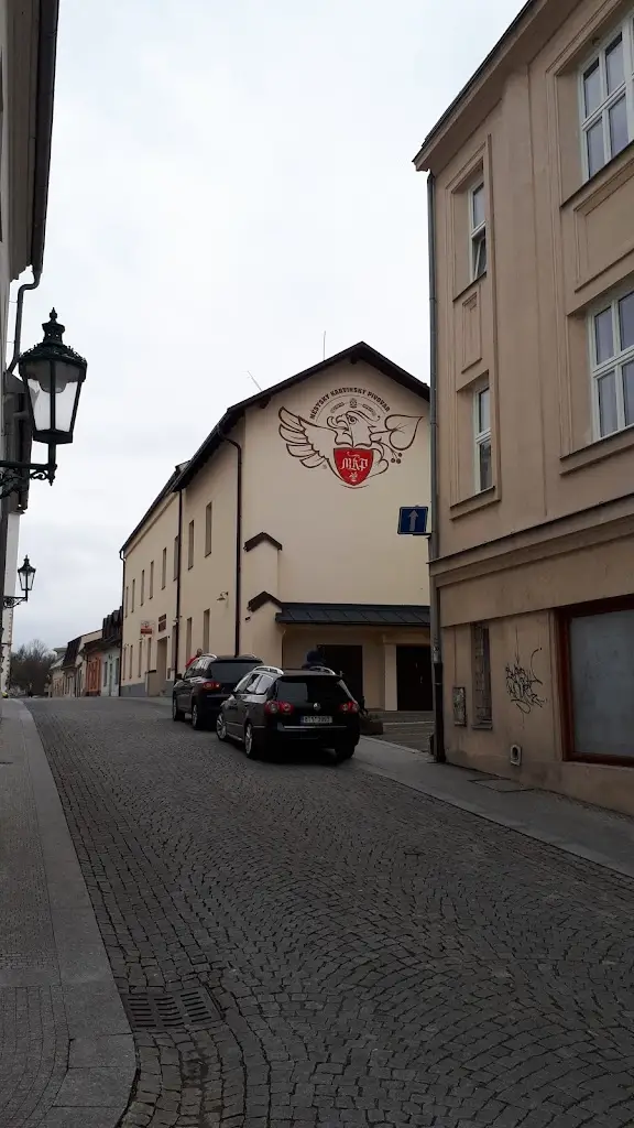 Ondrej Shanel_Restaurace Baron_Karviná_review