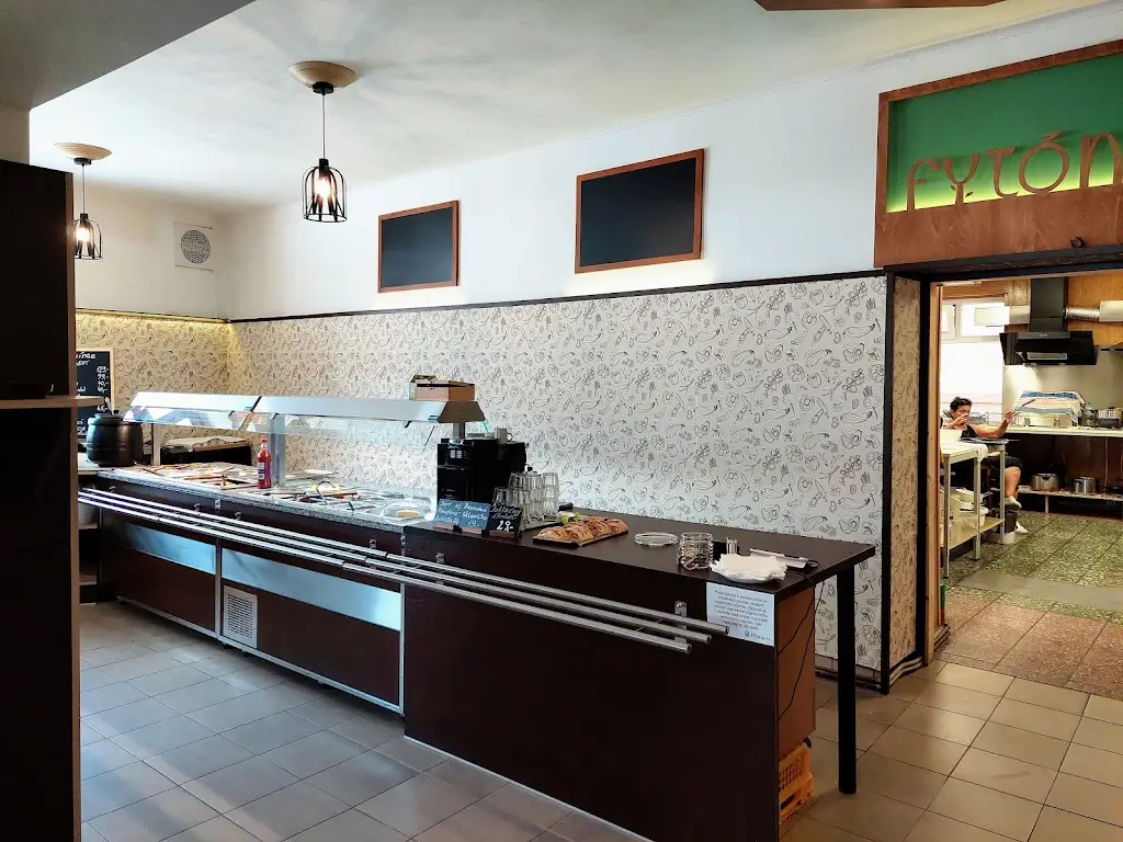 Stanislav Černý_FYTÓN bistro_Karviná_review