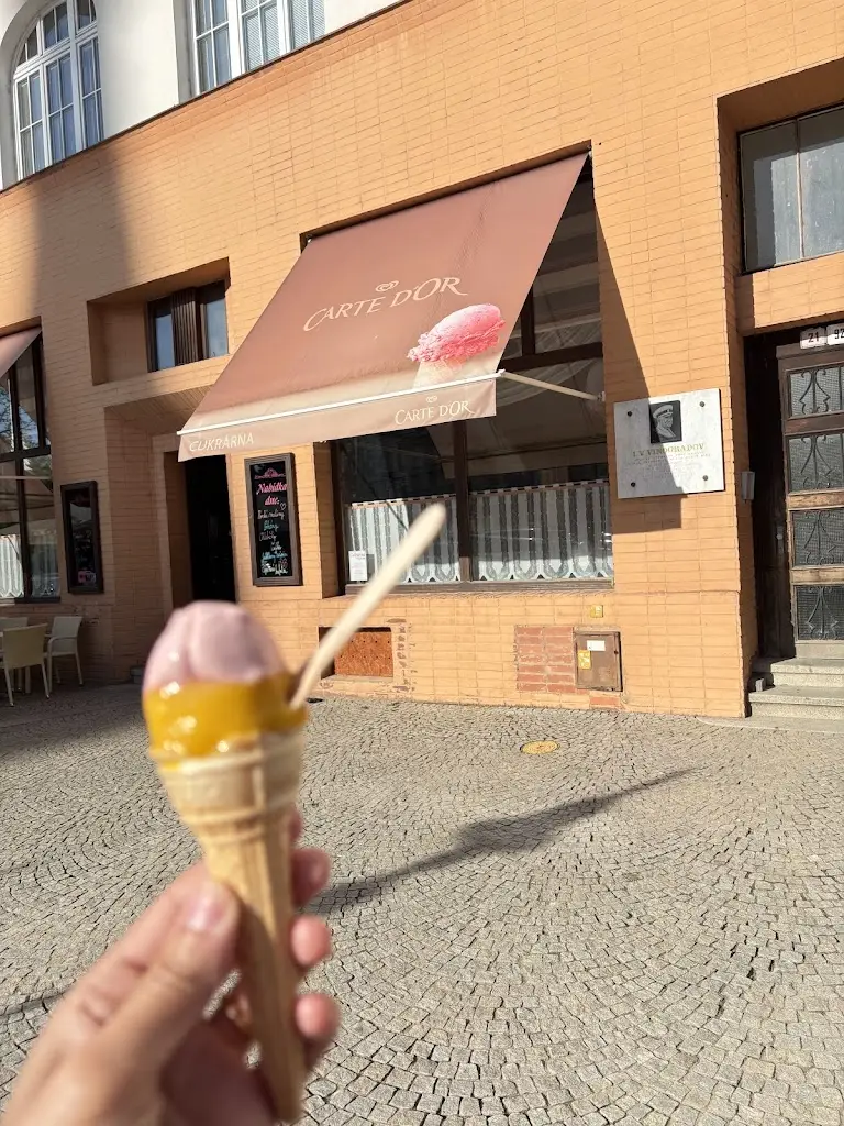 Vanessa Kelly_Algida_Krnov_review