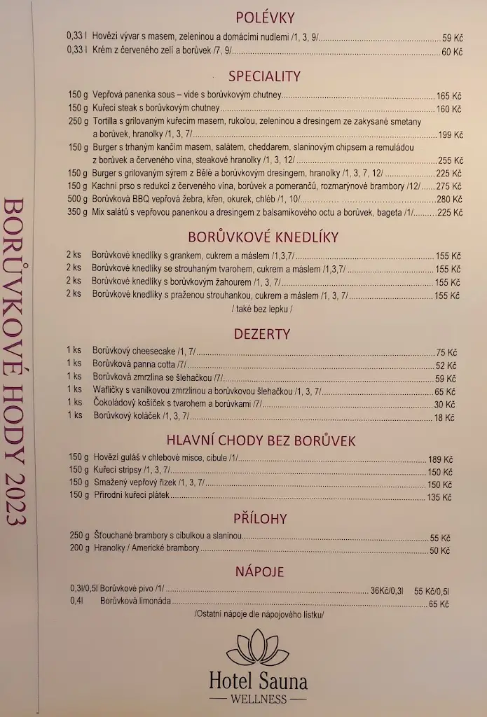 Menu_Restaurace Wellness Hotel Sauna_Morávka_immagine_1