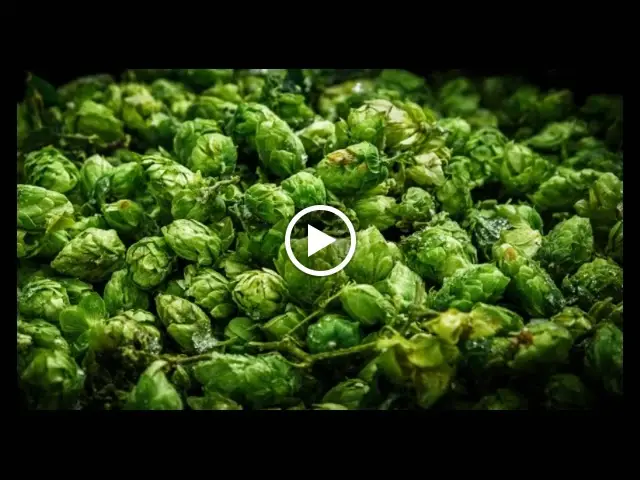 Restaurace a pivovar Nová sladovna_Okres Opava_slider_image_2