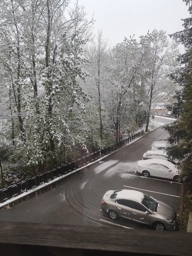 Tomáš Černý_Nýdecké Dobrůtky_Nýdek_review