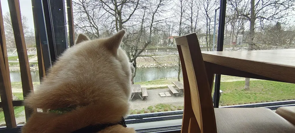 Patryk Polewiak_Restaurace Loděnice Ostrava_Okres Ostrava-město_review