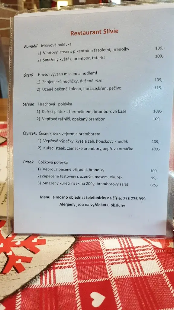 Menu_Restaurant Silvie_Orlová_image_4