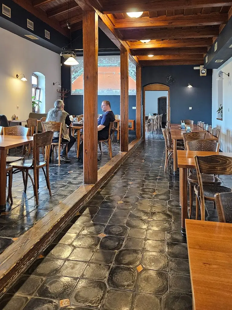 Vladimira Dobesova_Restaurace U Zlaté hvězdy_Příbor_review